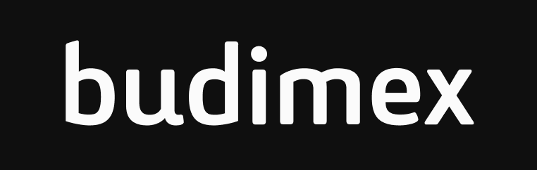 Logo firmy Budimex